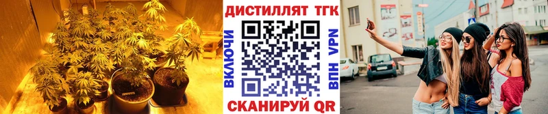 Дистиллят ТГК вейп  ссылка на мегу ТОР  Хадыженск 