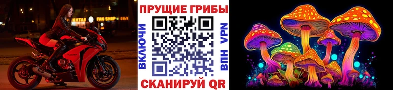 Псилоцибиновые грибы GOLDEN TEACHER  мега сайт  Хадыженск 